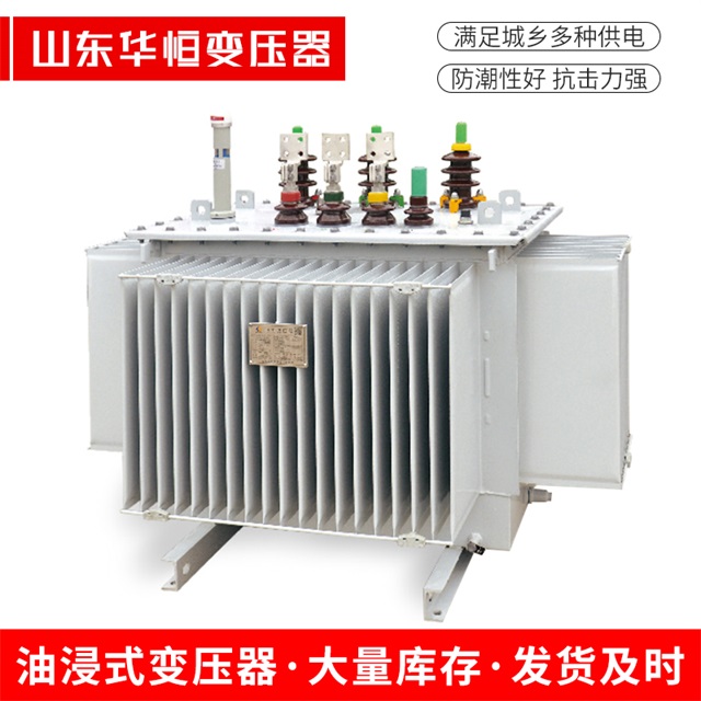 S13-10000/35新郑新郑新郑电力变压器